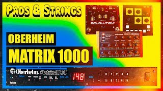 Video thumbnail for Oberheim MATRIX 1000 Demo AMBIENT PADS & STRINGS / 1.20 / by Rob World
