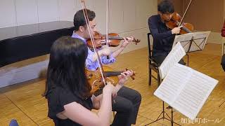 ベートーヴェン「弦楽四重奏曲第10番変ホ長調(Op.74)”ハープ”」(The Root Ensemble Tokyo第２回演奏会より)
