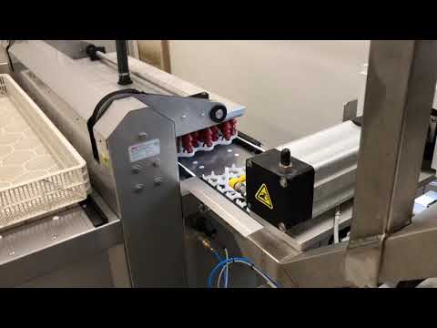 Automation of embrex transfer