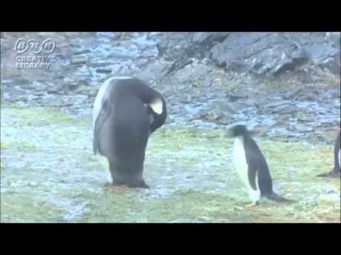 動画ナレーション対応します イメージ1