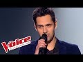 Céline Dion – Vole | Yoann Fréget | The Voice France 2013 | Prime 3