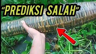 Download lagu This Traditional Eel Trap Rarely Fails (Avoiding a Loss) mp3