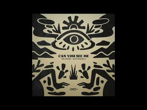 QT HIGH, notdanilo - Can You See Me (Extended Mix)