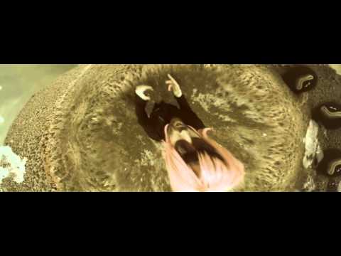 Get Up   Chinese Man feat  Ex I, Lush One, Plex Rock   OFFICIAL VIDEO