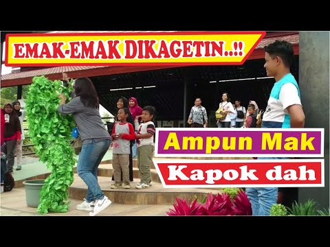 caping-park-bushman-prank-manusia-pohon-kagetin-emak-emak-biar-hepi