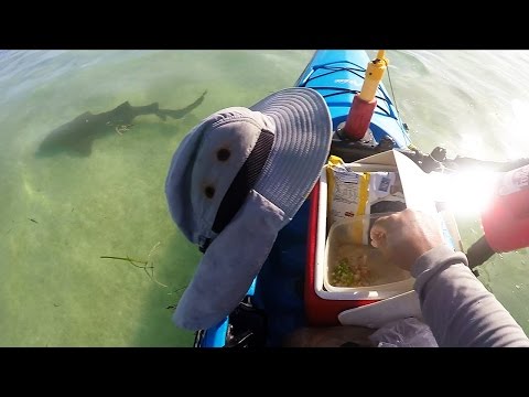 Key West Kayak Cooking - Mangrove Snapper Ceviche w/Sharks - Cooking On The Water.