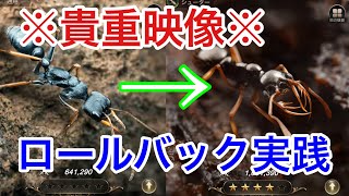 【貴重映像】ロールバック実践 ジャック☆3→☆無 タマヤマ☆3→☆4