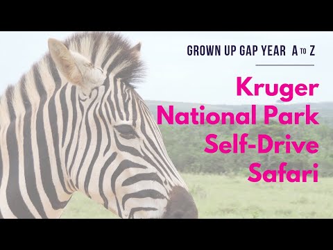 Kruger National Park & Addo Elephant Park Self-Drive Safari | Grown Up Gap Year A to Z