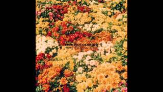 Brendan Canning - Keystone Dealers [Stream]