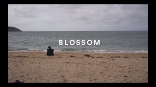 Zimmia - Blossom