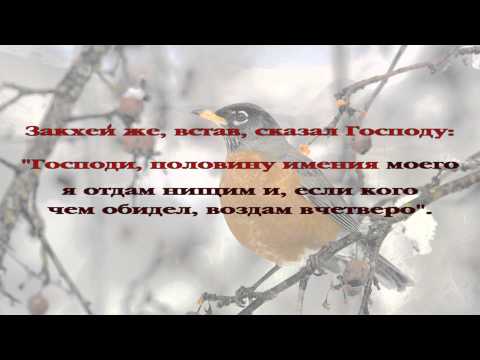 Вечерние рассказы для детей. История 039