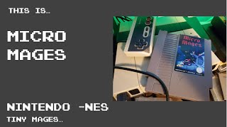 This is Micro Mages for the NES