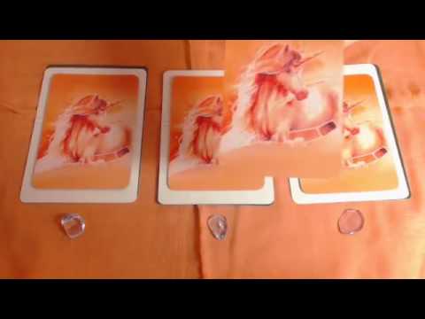 Engel Wochenorakel vom 7. 13. März 2016 Conny Koppers