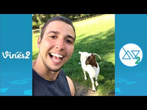 Ultimate Corey Scherer Vine Compilation (w/Titles) Funny Corey Scherer Vines 2013-2018