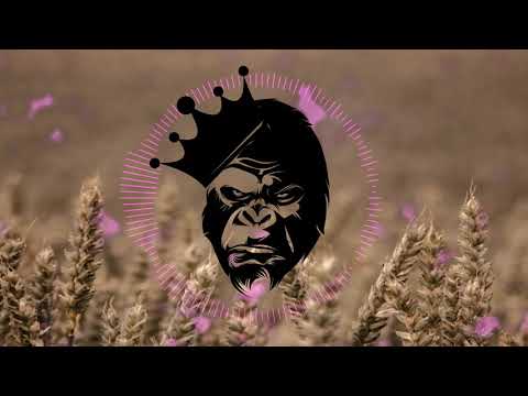 Lean On vs WonderWall (Major Lazer/DJ Snake feat. MØ & Oasis Mashup)