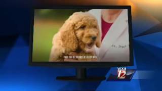 Innovative Politics - North Carolina 2016 Political TV Ads