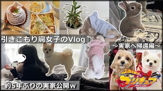 【Vlog】引きこもり腐女子、実家へ帰還するの巻【一人暮らし】