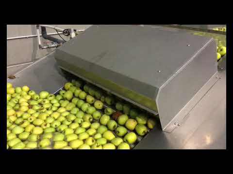Apples Grading Line - Central Discharge