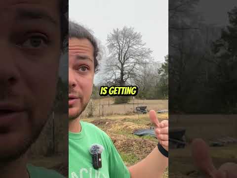 Garden Nutrients ON DEMAND: Compost & Permaculture #shorts