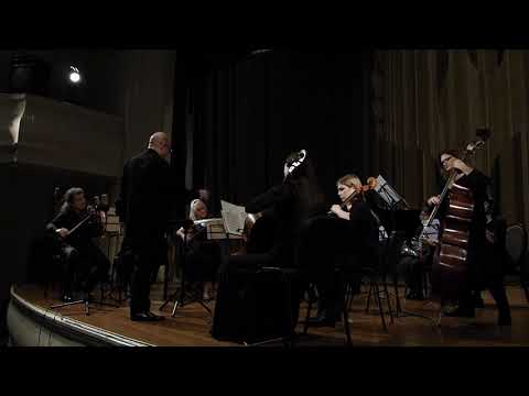 Muzička škola Josif Marinković Beograd / J. Sibelius: Valse Triste