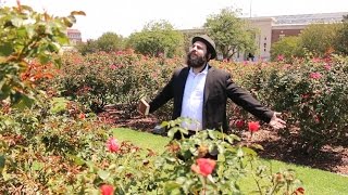 משה סטורק ספירת העומר - אקפלה בהשתתפות יהודה שלמה (להקת המושב)