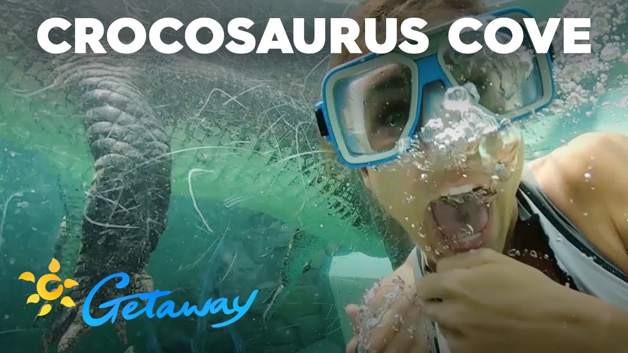 Discover the highlights of visit to Crocosaurus Cove.