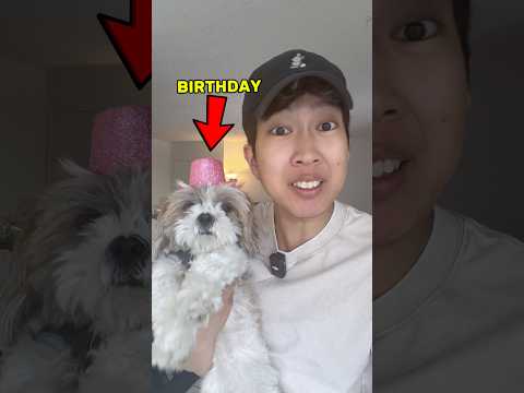 My Doggy’s Birthday