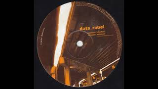 Data Rebel ‎– Infinition (Cheech's Wildloops Mix) (2003)