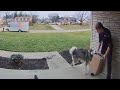 Husky SHOCKS Delivery Driver | FUNNIEST Pets Caught on Camera 🤣