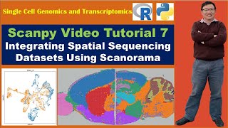 Download the video "Scanpy Video Tutorial 7: Integrating Spatial Sequencing Datasets Using Scanorama"