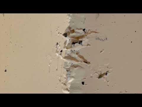 Ants Found in the Break RoomAnts Found in the Break Room in Robbinsville, NJ