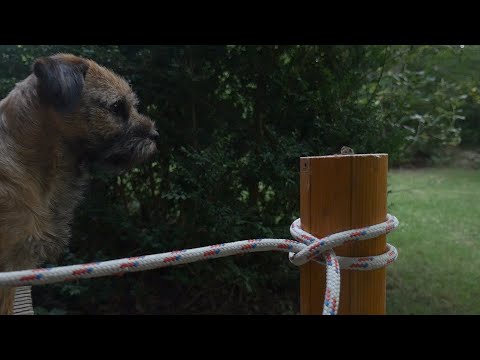 ...geworfener Webleinstek, kann jeder, oder? Clove Hitch Knot