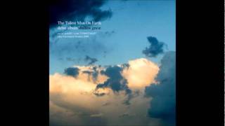 The Tallest Man on Earth- Where do My Bluebird Fly