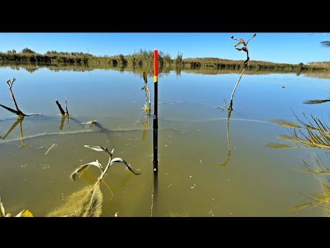 Pescuit la pluta pe balta salbatica