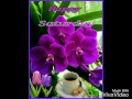 Happy Saturday " Never A Doubt " John Denver