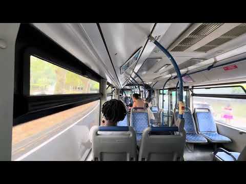 STCP - LOUD VOITH 😍 MAN Lion's City G A23 GNV €4 VOITH ligne 205