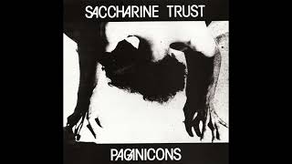 Saccharine Trust – Effort to Waste