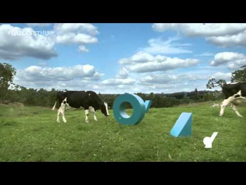 Kanal 9 Channel Identity "Cow 2" - Dallas Sthlm