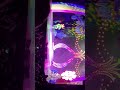 Trolls Live Tour In Allentown Pa 3 30 22
