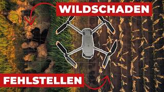 Fehlstellen oder Wildschaden?! Mit dieser Diskussion ist jetzt Schluss! (DJI Matrice 4T)