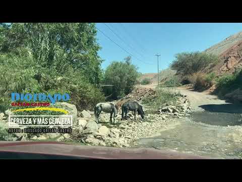 Cerveza Mas Cerveza - Diosdado Gaitan