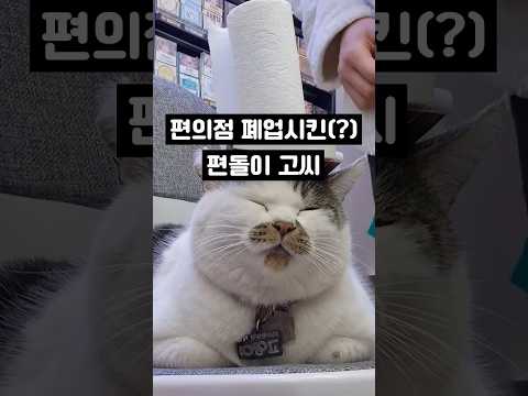 동료 알바생이 일을 안 해요