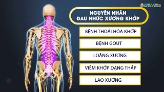 Đau nhức xương khớp và cách phòng ngừa hiệu quả