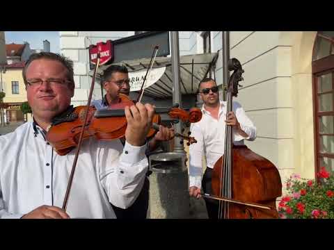 Pokošovci - Nádherný spev a harmónia 🎙️ 🔥 🎶 🎻. 🪗  | Akordy v popise