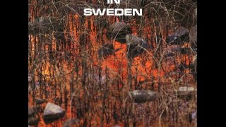 Gene Ammons In Sweden (Full Album)