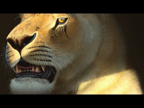 Die größte Katze aller Zeiten – Amerikanischer Löwe