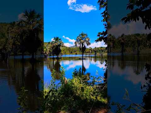 Interior de Alcinópolis | MS #alcinopolis #interior #campo #nature #brasil #matogrossodosul #rural