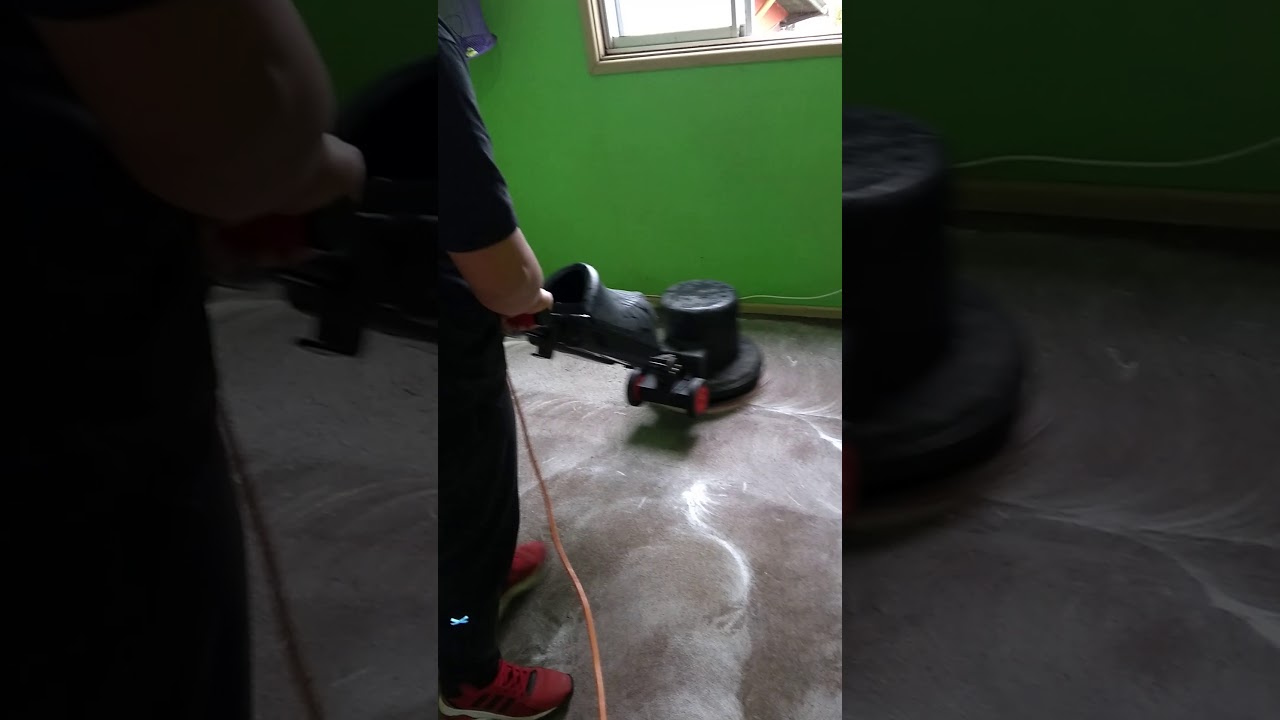 Limpieza de alfombras. Trabajo realizado en oficina