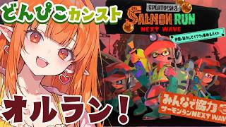 【スプラ3】xマッチ▶クマフェスオルランカンストしたい🎍サモラン【Vtuber】スプラトゥーン3 どいつライカ #スプラトゥーン3 #splatoon3 #スプラ3 サーモンラン