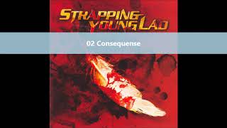 Strapping Young Lad   S Y L  full album 2003